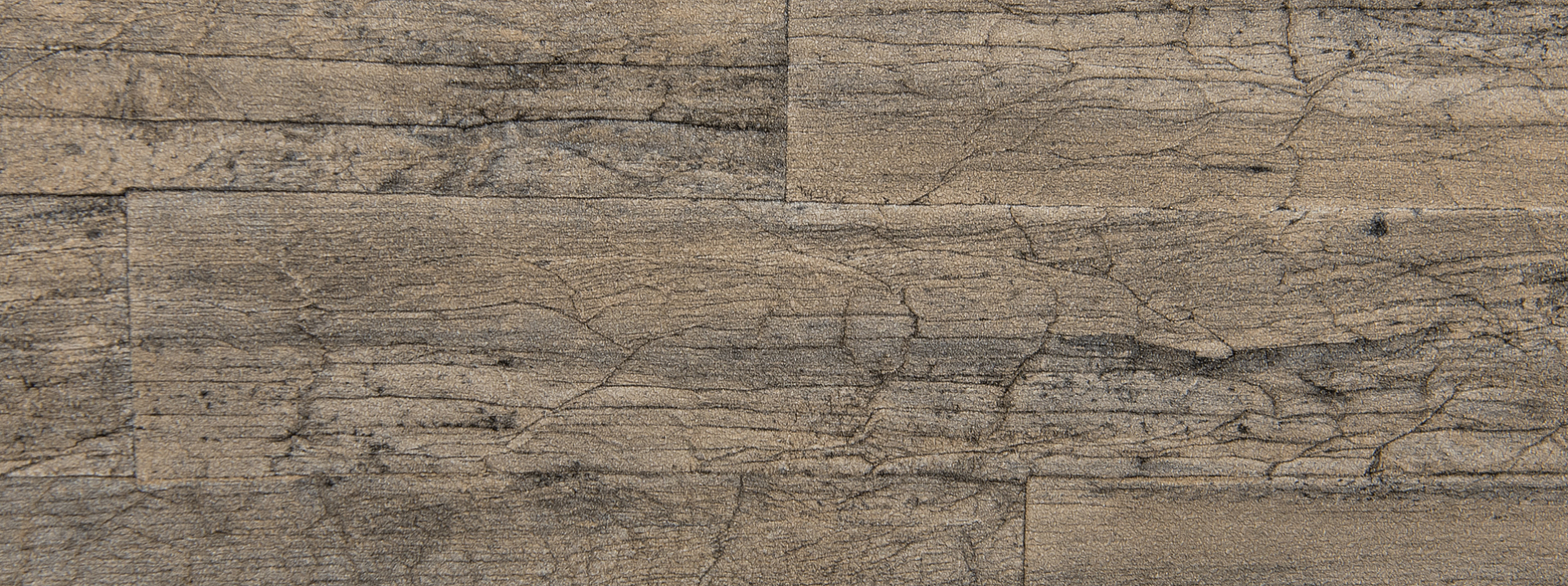 Изображение Rasch Curiosity 537031