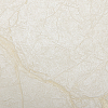 Fipar Gold 23629 — картинка №1