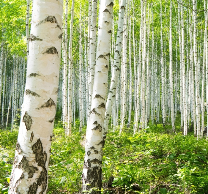 Панно под заказ 30129