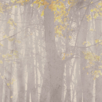 79226-2 Панно AS Creation 159*280, Лес на рассвете