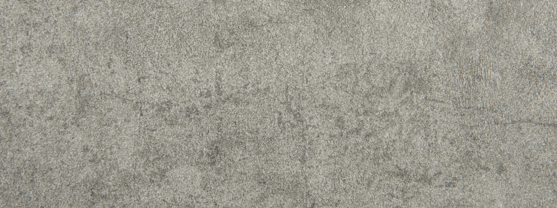 Изображение Alessandro Allori Rebecca 15005-8