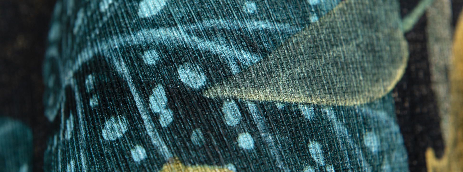 Изображение Rasch Curiosity 538243