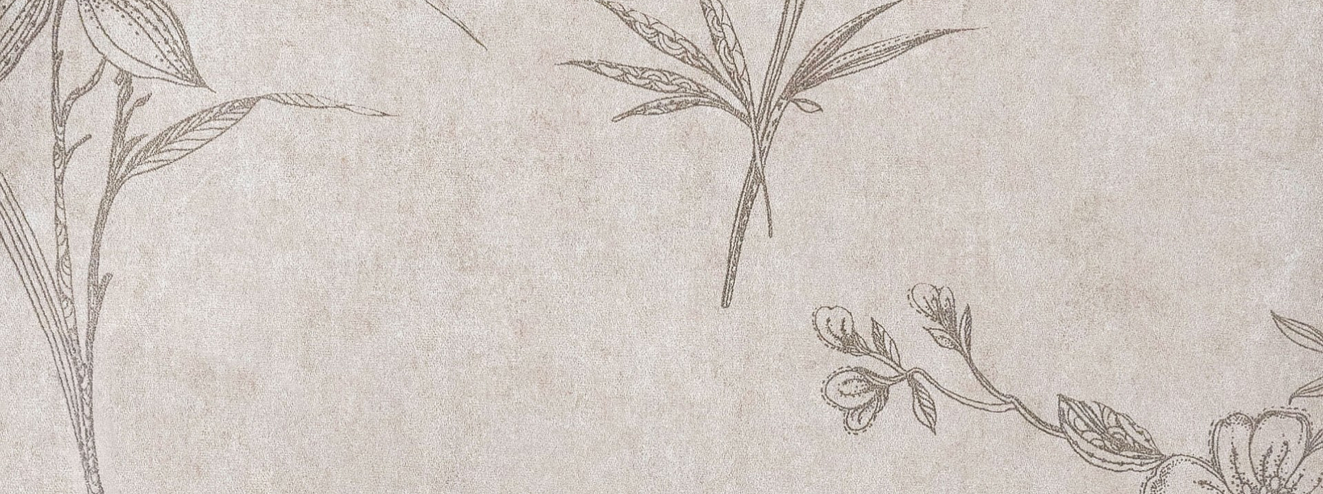 Изображение Bernardo Bartalucci Bigi Plus 5090-2