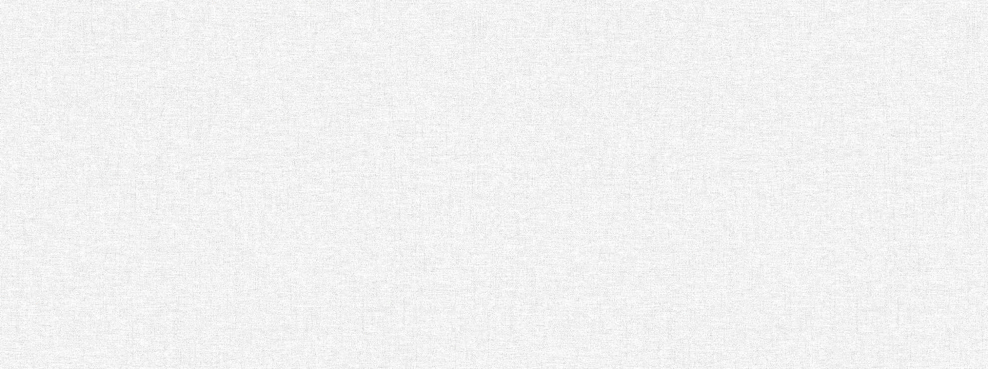 Изображение Erismann Basic Scandi 60989-02