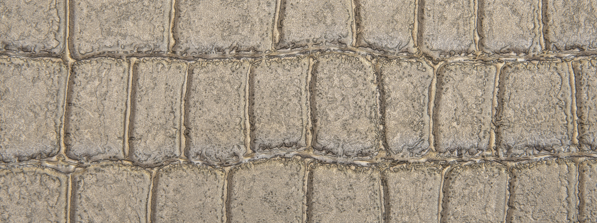 Изображение Zambaiti Philipp Plein 80032