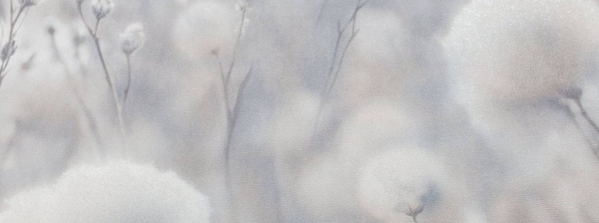 Изображение Палитра Cottonia 72543-42